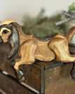 Nubian Goat