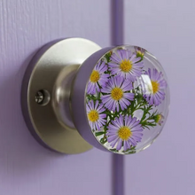Load image into Gallery viewer, Libiyi NatureNest Crystal Knob - Libiyi
