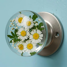 Load image into Gallery viewer, Libiyi NatureNest Crystal Knob - Libiyi