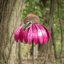 Load image into Gallery viewer, Libiyi Outdoor Flower Bird Feeder 🌹Spring Decoration💖 - Libiyi