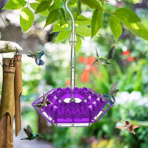 Shirem Sweety Hummingbird Feeder - Libiyi