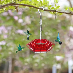 Shirem Sweety Hummingbird Feeder - Libiyi